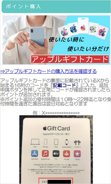 ビリオンプロジェクトでアップルギフトカードを購入する