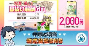 株式会社SNSの副業は詐欺？怪しい口コミや評判・写真を選んで報酬の実態