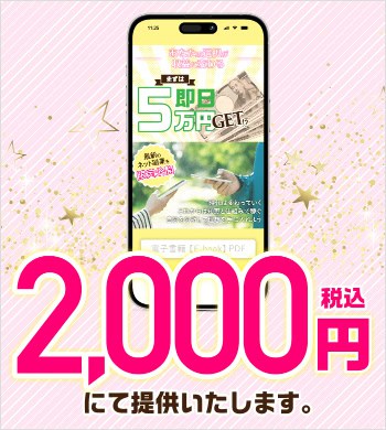 株式会社SNSの副業の費用